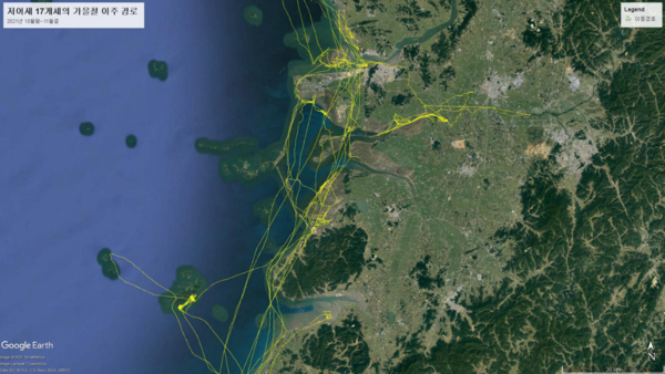 (사진 한국물새네트워크)/뉴스펭귄