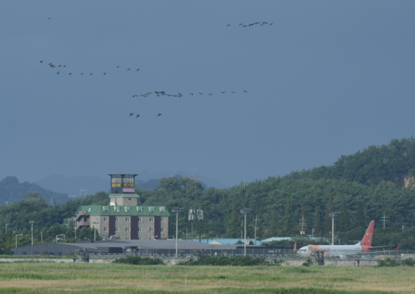 (사진 새만금신공항백지화공동행동)/뉴스펭귄