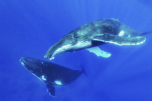 (사진 클립아트코리아)/뉴스펭귄