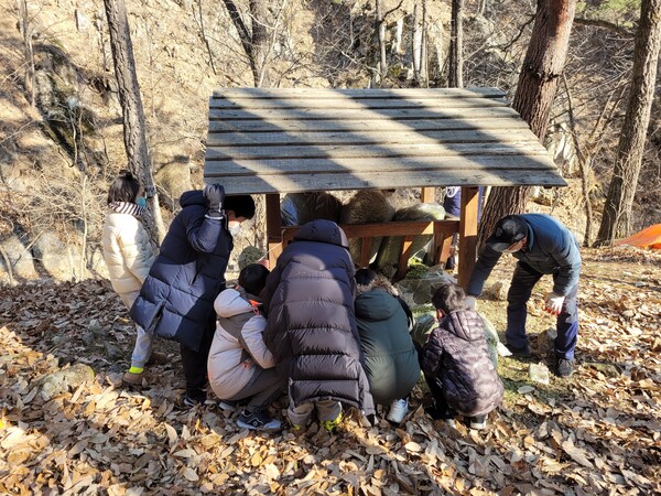 노음초등학교 학생들이 산양 먹이급여소를 찾았다 (사진 (사)한국산양보호협회 울진군지회)/뉴스펭귄