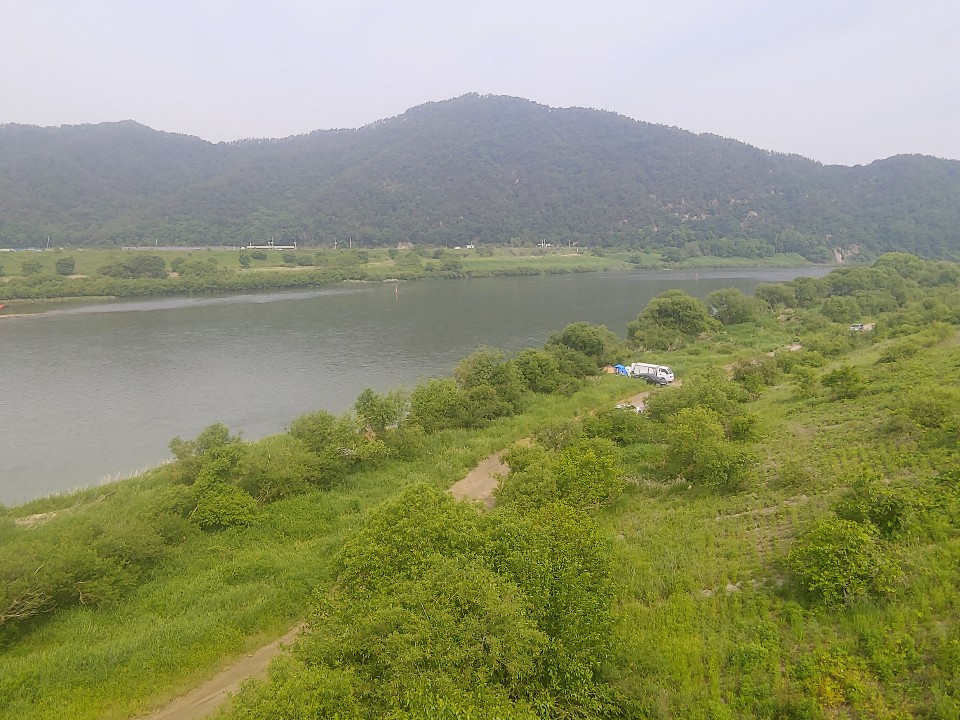 흥원창 대체서식지 현재 모습 (사진 경기환경운동연합)/뉴스펭귄