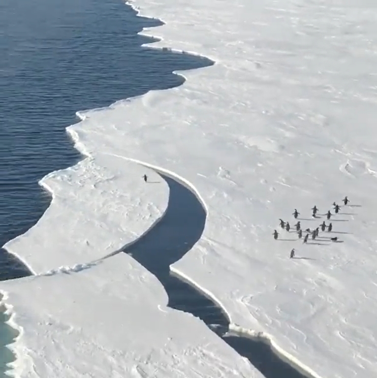 (사진 Derik Munson 인스타그램 영상 캡처)/뉴스펭귄