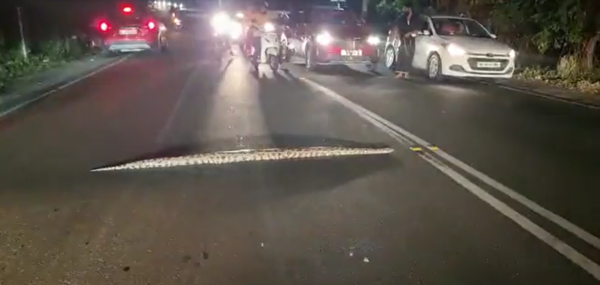 (사진 'Traffic halts as a large python crosses the road in Kochi' 유튜브 영상 캡처)/뉴스펭귄