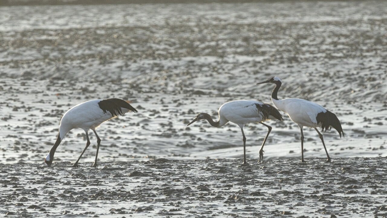 (사진 인천지속가능발전협의회)/뉴스펭귄