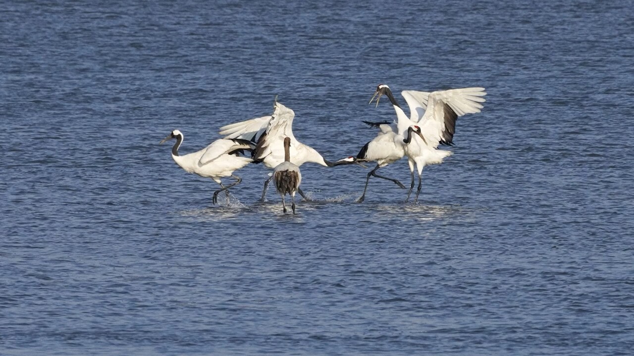 (사진 인천지속가능발전협의회)/뉴스펭귄