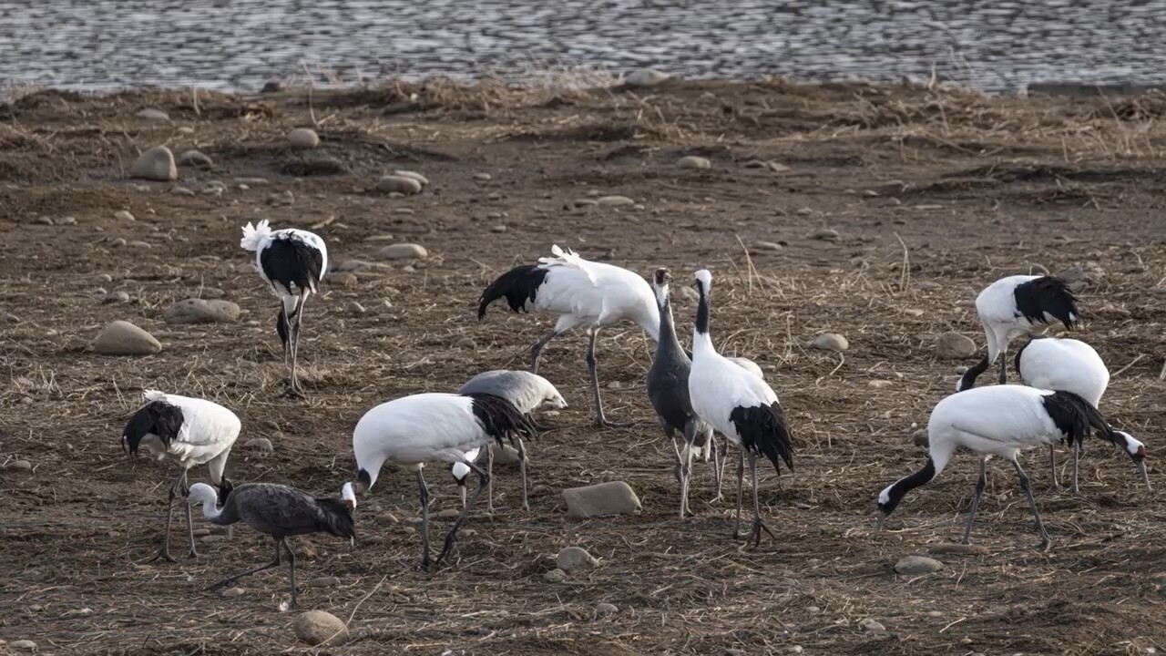 (사진 인천지속가능발전협의회)/뉴스펭귄