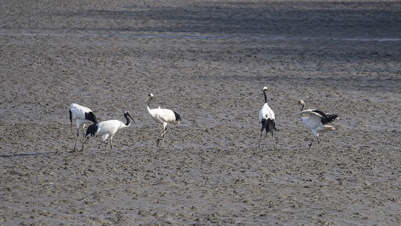(사진 인천지속가능발전협의회)/뉴스펭귄
