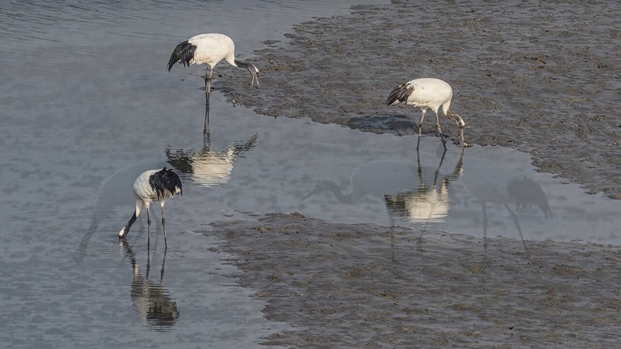(사진 인천지속가능발전협의회)/뉴스펭귄