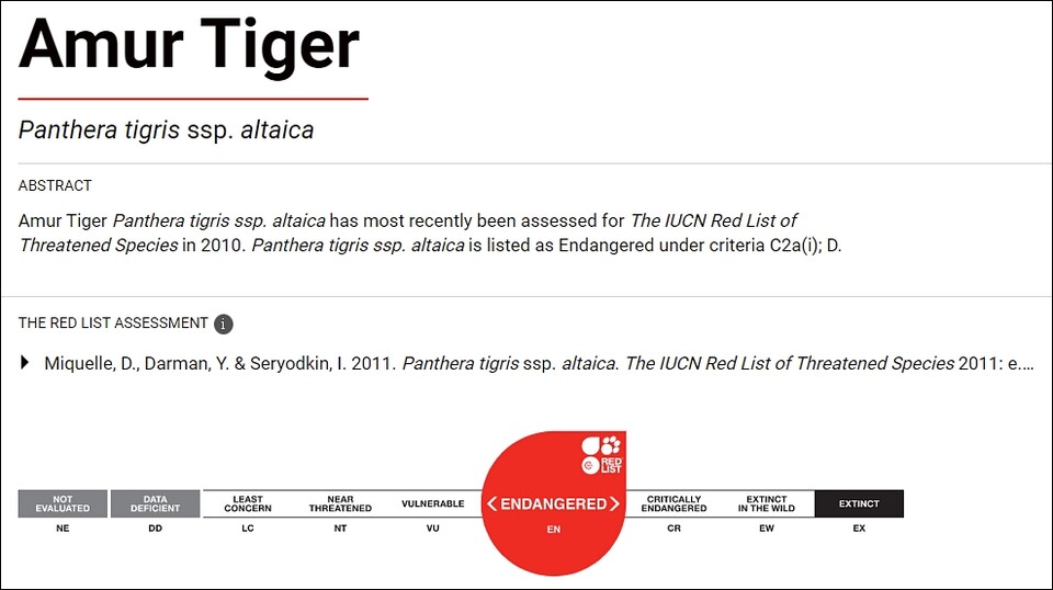 아무르호랑이 국제 멸종위기 등급 (사진 IUCN)/뉴스펭귄