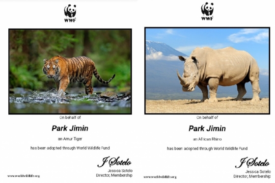 (사진 JIMIN DATA 공식 트위터)/뉴스펭귄