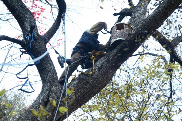 (사진 국립공원공단 오대산국립공원)/뉴스펭귄