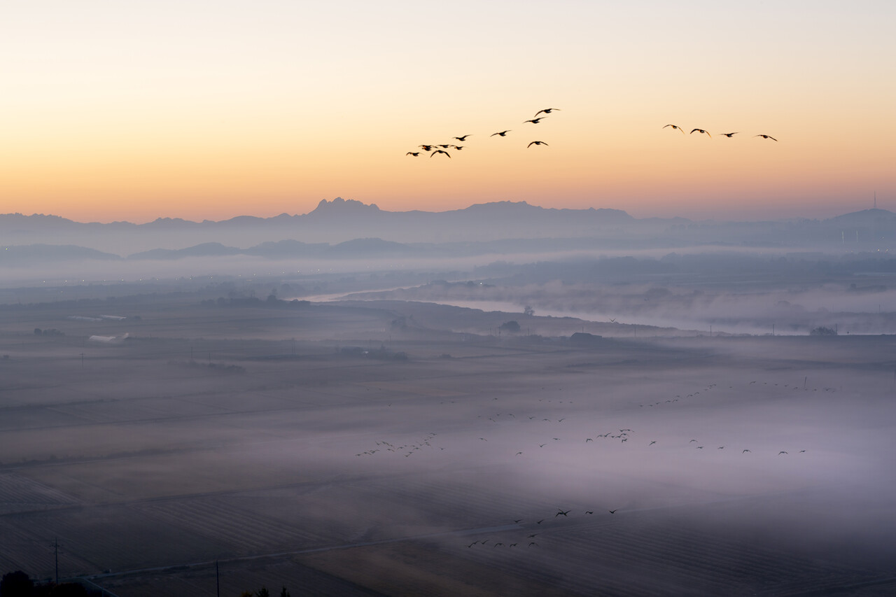 (사진 클립아트 코리아)/뉴스펭귄