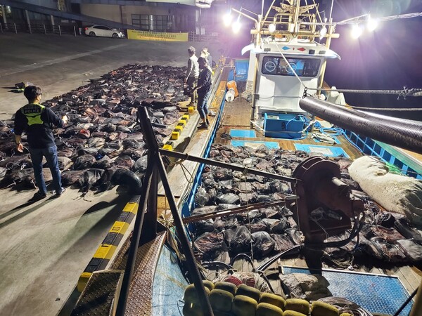경북 포항해양경찰서는 지난 3일 오후 9시께 동해에서 불법으로 잡은 고래고기를 싣고 포항항으로 들어오던 어선을 붙잡았다. (사진 포항해양경찰청)/뉴스펭귄