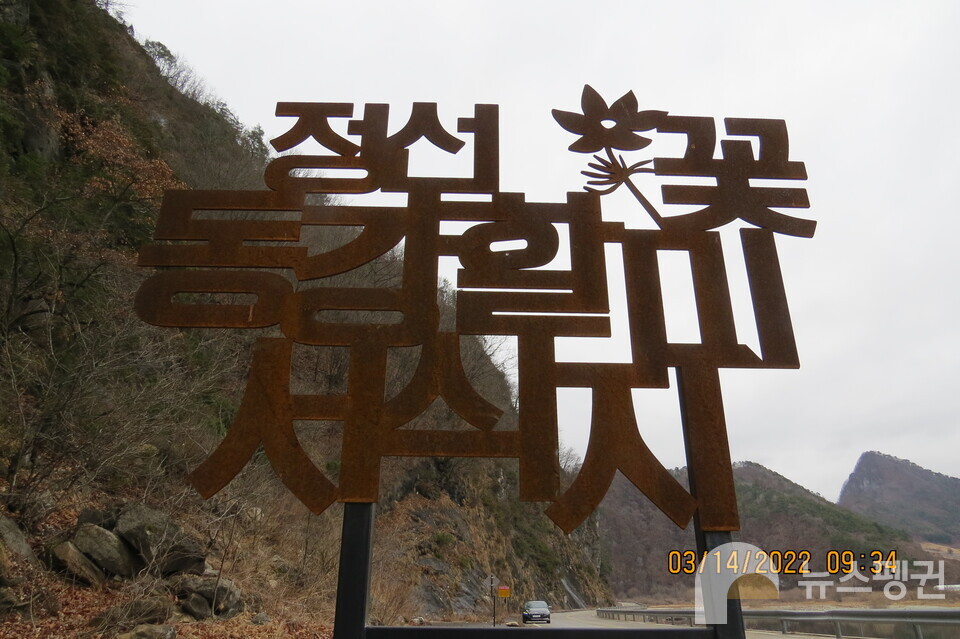 (사진 서덕웅 동강할미꽃보존연구회장)/뉴스펭귄