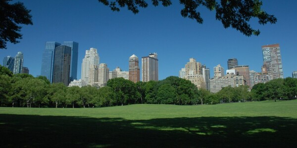 센트럴 파크에서 보여지는 뉴욕 도시 (사진 Central Park Conservancy 공식 홈페이지)/뉴스펭귄