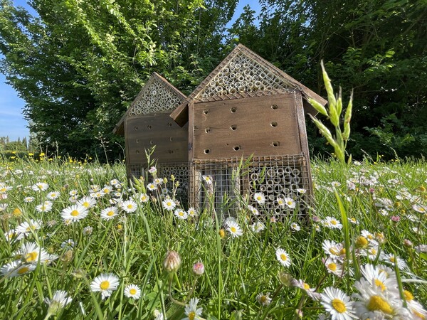 꿀벌 호텔 (사진 Sintesi Minerva Cooperative 공식 페이스북)/뉴스펭귄