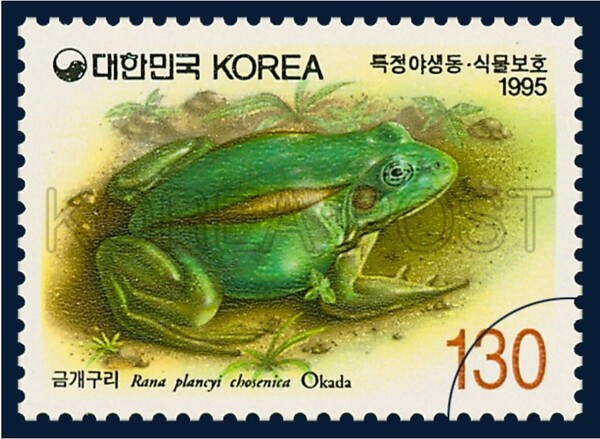 1995년 발행된 금개구리 특별우표(사진 한국우표포털서비스 갈무리)/뉴스펭귄