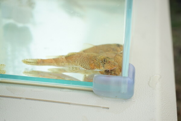 (사진 임병선 기자)/뉴스펭귄