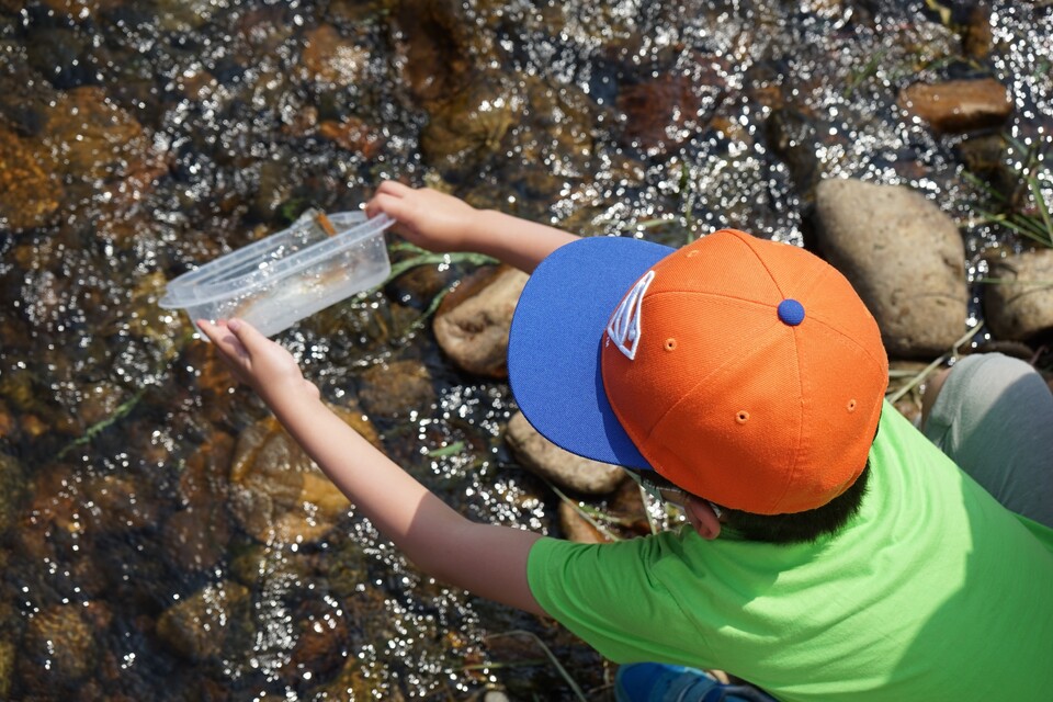 (사진 임병선 기자)/뉴스펭귄