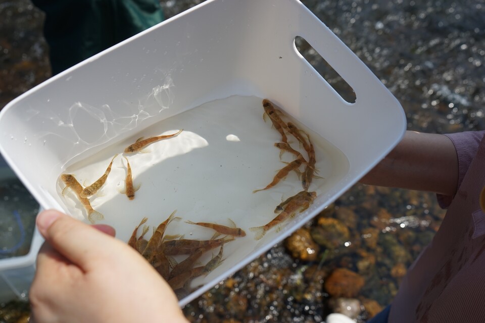 (사진 임병선 기자)/뉴스펭귄