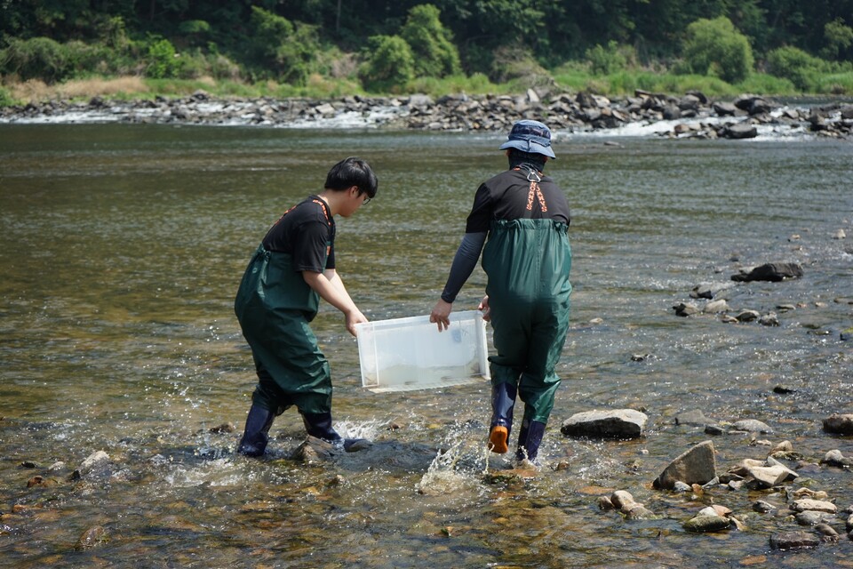 (사진 임병선 기자)/뉴스펭귄