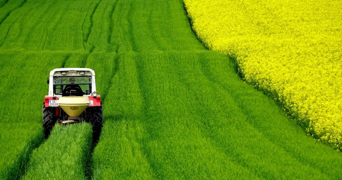 (사진 pixabay)/뉴스펭귄