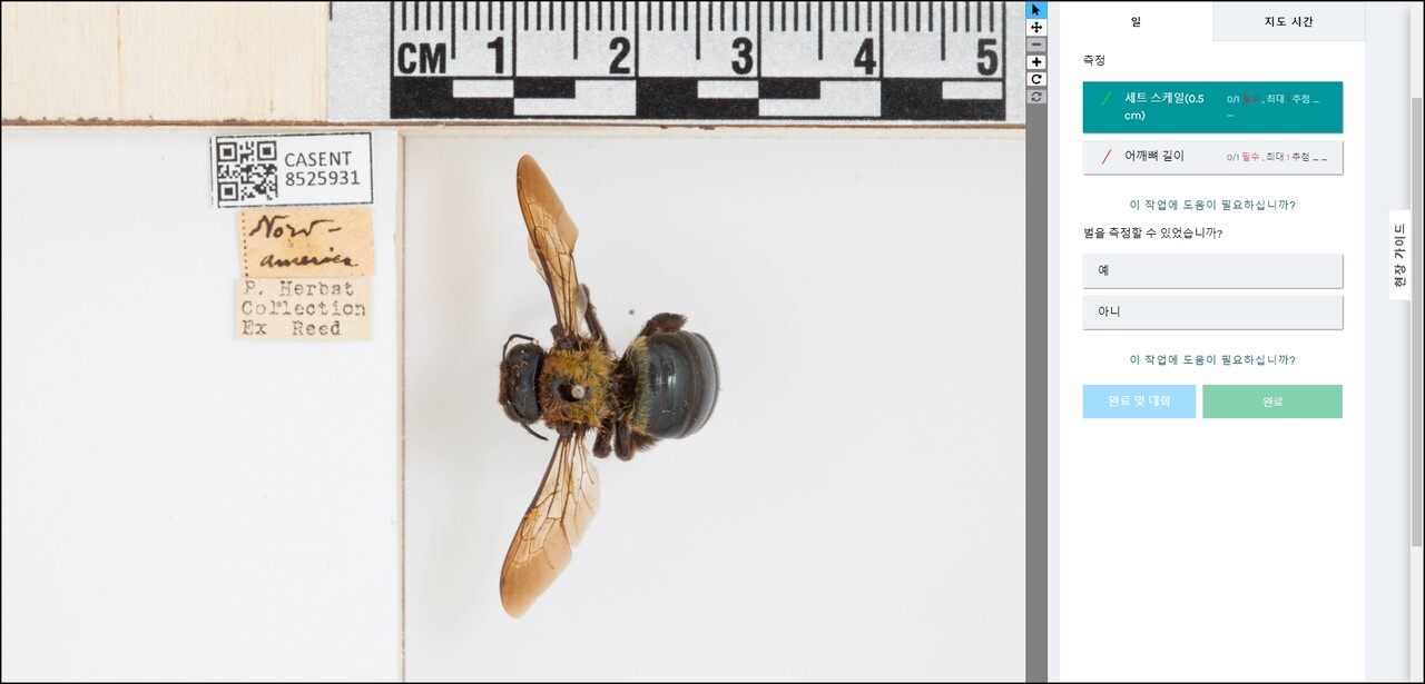 (사진 Big Bee Bonanza 공식 웹사이트 화면 캡처)/뉴스펭귄