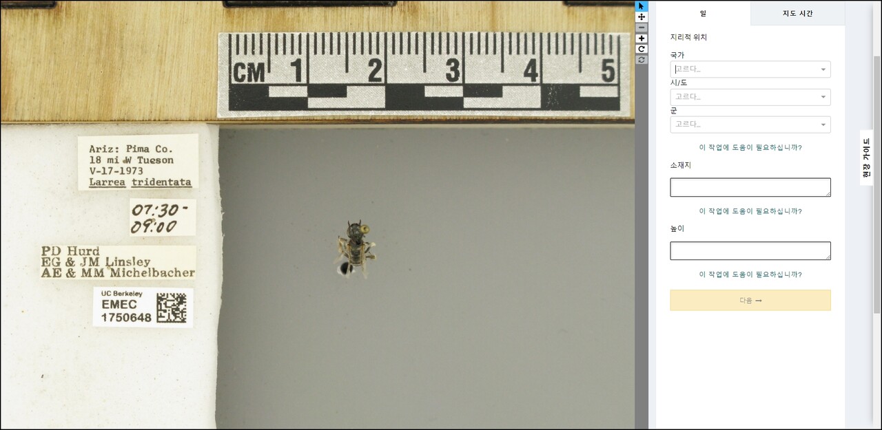 (사진 Big Bee Bonanza 공식 웹사이트 화면 캡처)/뉴스펭귄