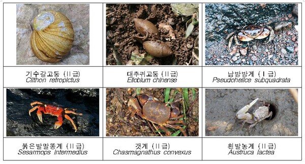 (사진 해양수산부)/뉴스펭귄