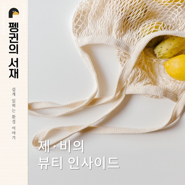 (그래픽 성은숙 기자)/뉴스펭귄