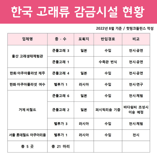 (표 핫핑크돌핀스)/뉴스펭귄