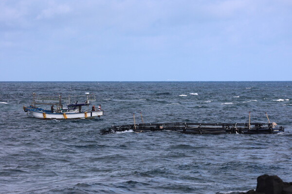 지난 5일 비봉이 야생적응 가두리 옆에서 낚시선박이 접근해 낚시를 하는 모습. (사진 핫핑크돌핀스)/뉴스펭귄