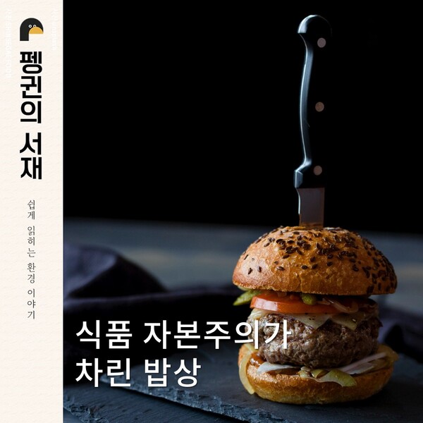 (그래픽 성은숙 기자)/뉴스펭귄