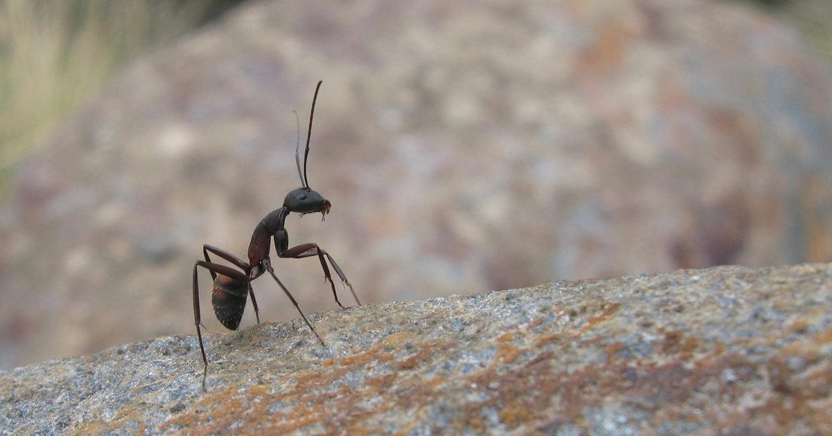 (사진 pixabay)/뉴스펭귄