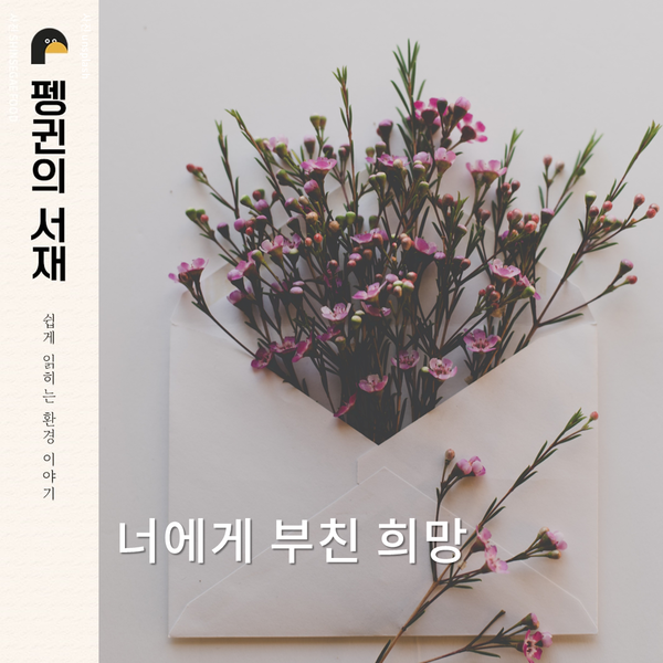 (그래픽 성은숙 기자)/뉴스펭귄