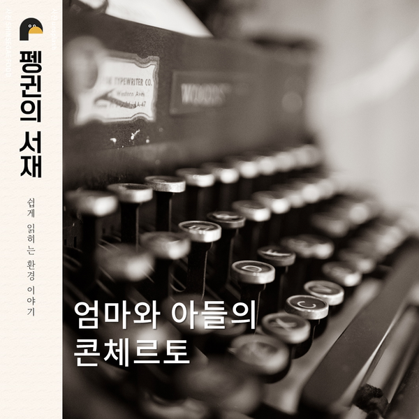 (그래픽 성은숙 기자)/뉴스펭귄