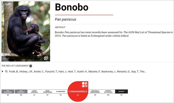 보노보 세계자연보전연맹 적색목록 등급 (사진 IUCN)/뉴스펭귄