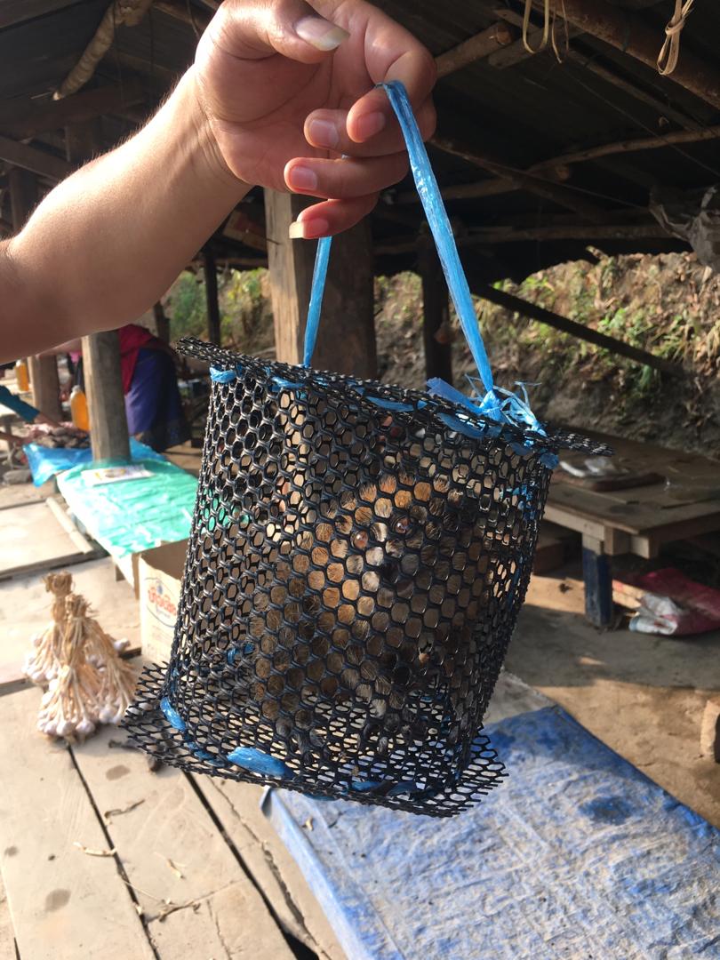 산 채 판매되고 있는 늘보로리스 새끼 (사진 Agkillah Maniam/TRAFFIC)/뉴스펭귄