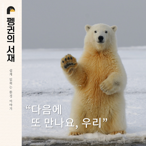 (그래픽 성은숙 기자)/뉴스펭귄