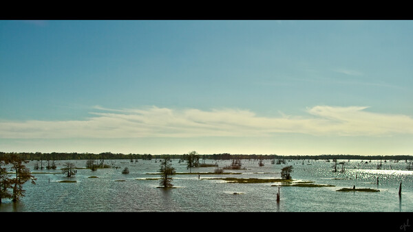 (사진 flickr ⓒCecillePL)/뉴스펭귄