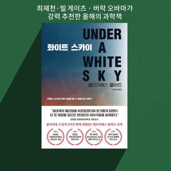 (그래픽 성은숙 기자)/뉴스펭귄