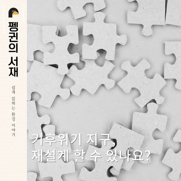 (그래픽 성은숙 기자)/뉴스펭귄