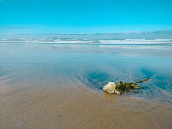 (사진 unsplash)/뉴스펭귄