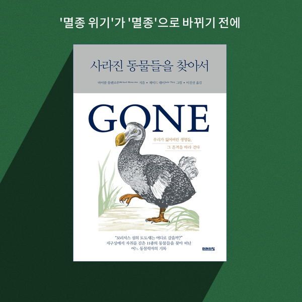 (그래픽 성은숙 기자)/뉴스펭귄