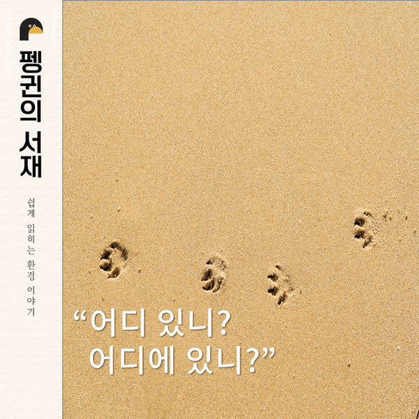 (그래픽 성은숙 기자)/뉴스펭귄