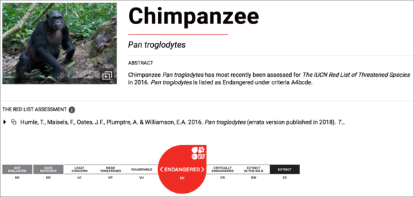 침팬지 세계자연보전연맹 적색목록 등급 (사진 IUCN)/뉴스펭귄
