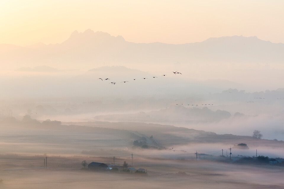 파주시 공릉천 풍경 (사진 클립아트코리아)/뉴스펭귄