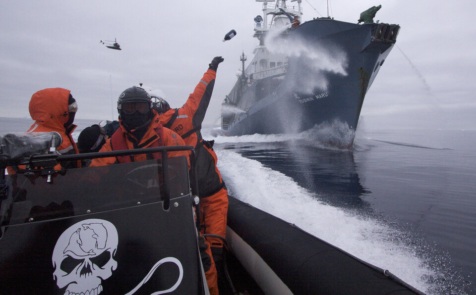 일본 포경선에 항의하는 해양환경단체 씨셰퍼드(사진 Sea Shepherd)/뉴스펭귄