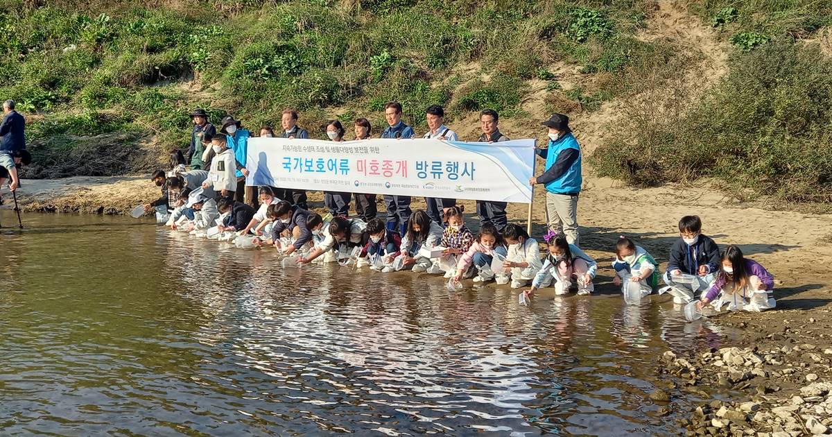 19일 청양군에서는 어린이들과 함께 미호종개 방류 행사가 진행됐다.(사진 금강유역환경청)/뉴스펭귄