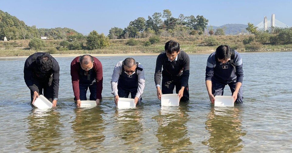 20일에는 세종시에서 △금강유역환경청 △국립문화재연구원 △K-water △대청호보전운동본부 △세종시 담당자들이 미호종개 방류를 진행했다.(사진 금강유역환경청)/뉴스펭귄
